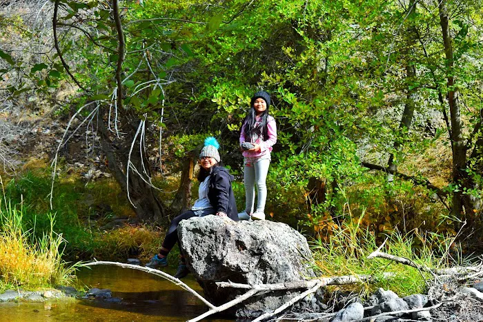 Succor Creek Campground 6
