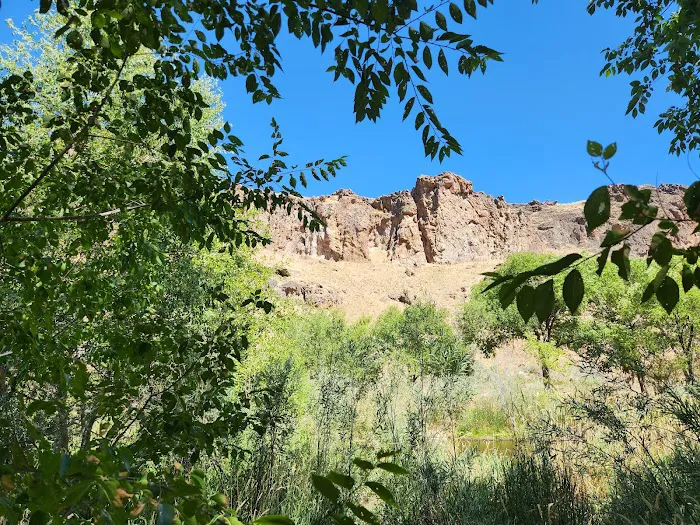 Succor Creek Campground 9