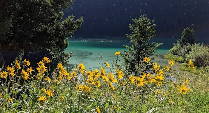 Cliff Point Campground 3