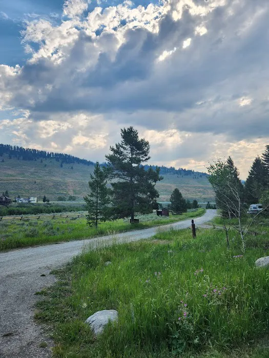 Madison River Campground 0