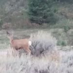 Riverview Campground