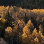 Owl Creek Vista Trailhead (recgovnpsdata)