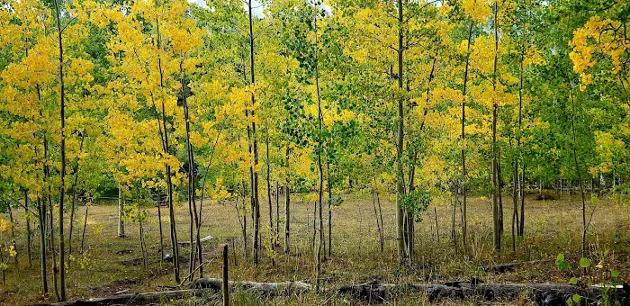 Clear Lake/Rowdy Lake Trailhead (recgovnpsdata) 6