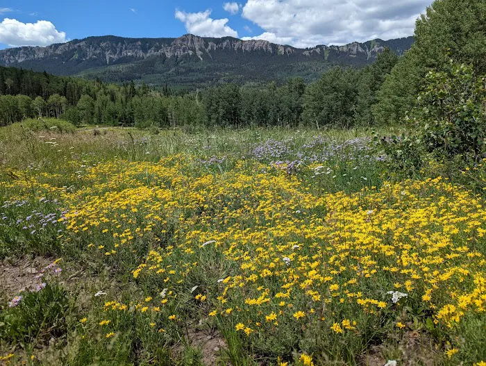 Clear Lake/Rowdy Lake Trailhead (recgovnpsdata) 3