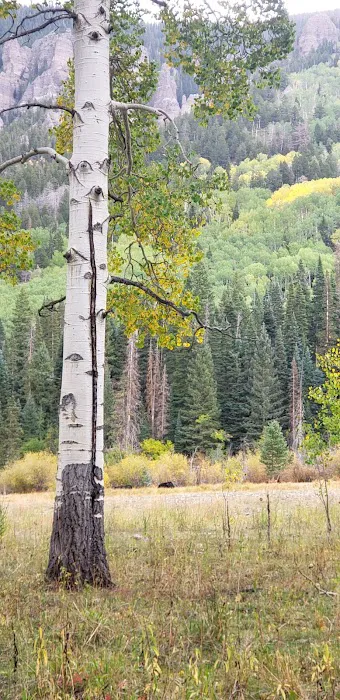 Clear Lake/Rowdy Lake Trailhead (recgovnpsdata) 1