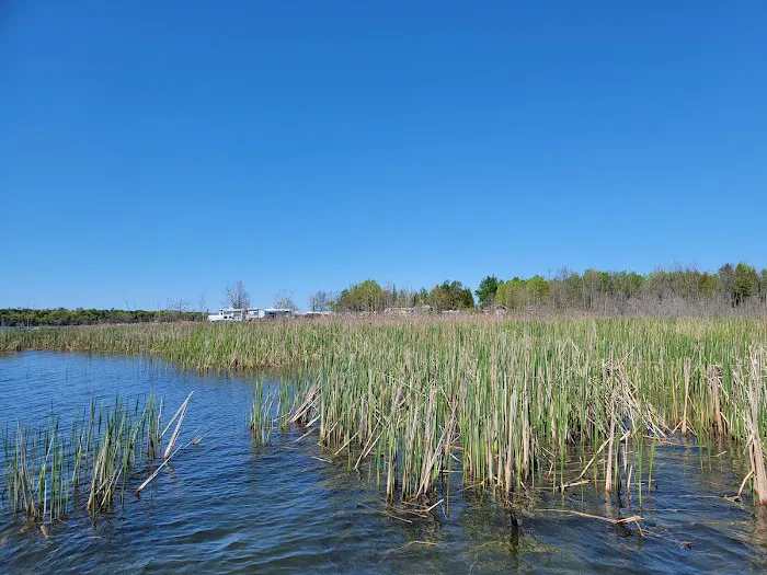 Loons Point RV Park and Campground 7
