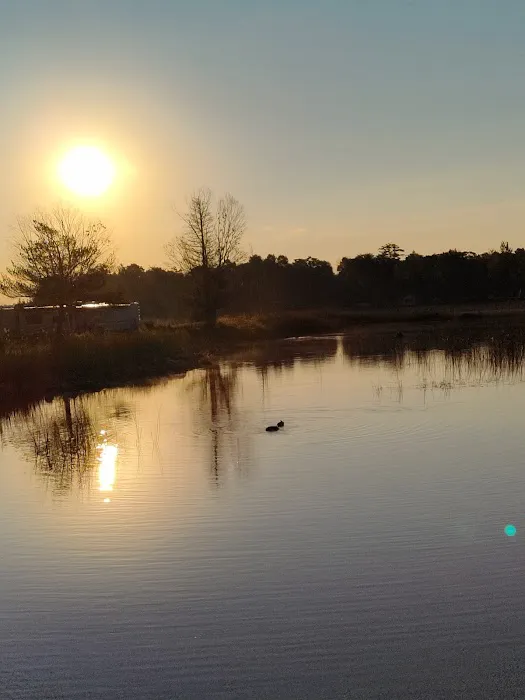 Loons Point RV Park and Campground 9