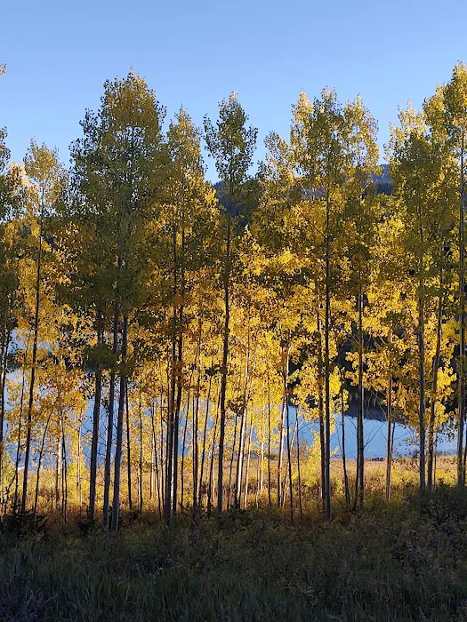 Chapman Reservoir Campground 5
