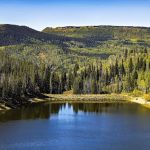 Chapman Reservoir Campground