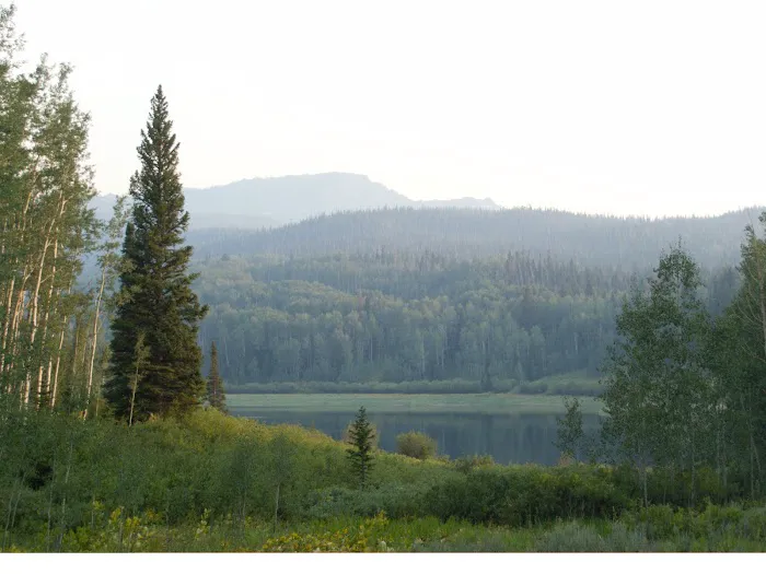 Chapman Reservoir Campground 3