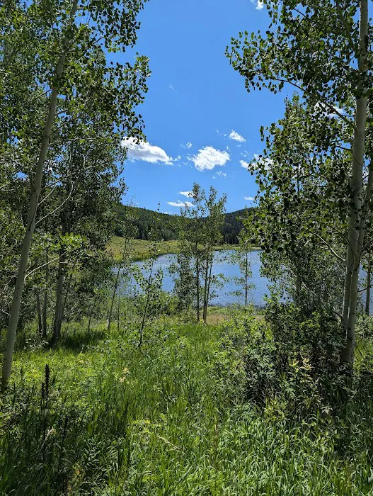 Chapman Reservoir Campground 9