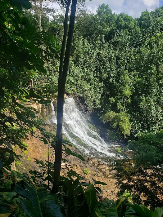 Forestry & Wildlife 0