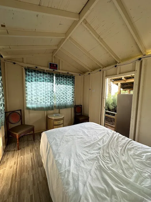 Kumu Camp 2