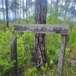 Sapling Head Camp