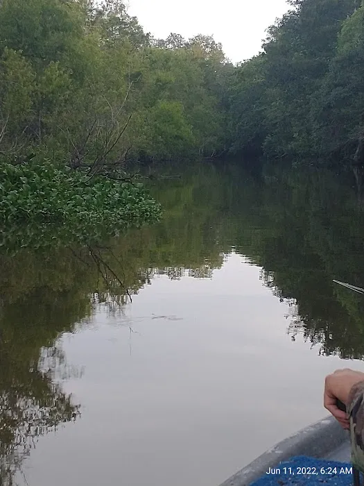 Hickory Landing 0