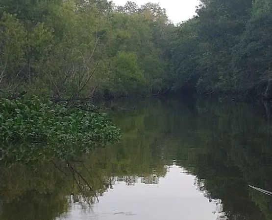 Hickory Landing