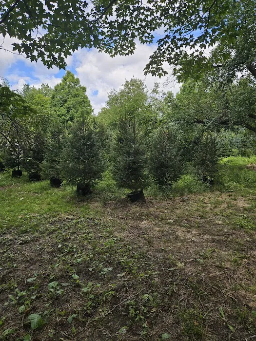 Northern NH Nursery Garden Center and Waterfront Camping 0