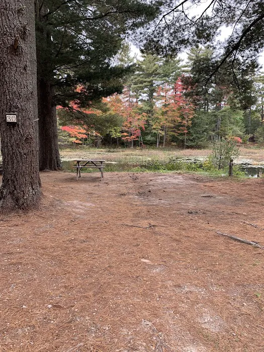 Woodman Lake Campground 7