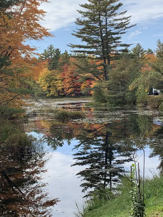 Woodman Lake Campground 3