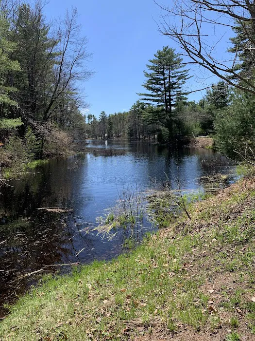 Woodman Lake Campground 8
