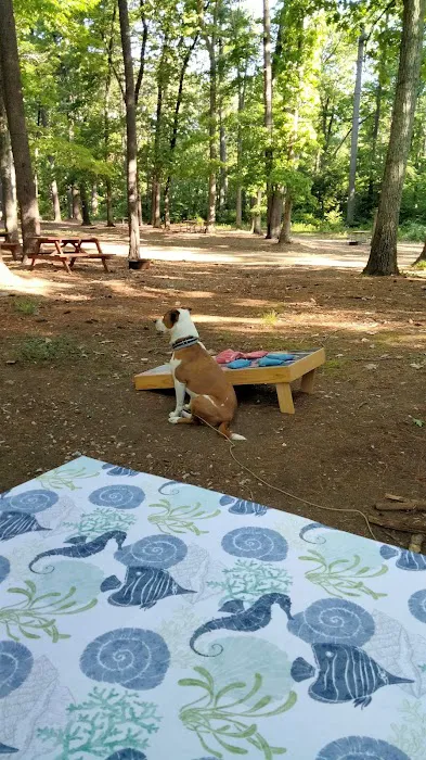 Black Bear Campground 1