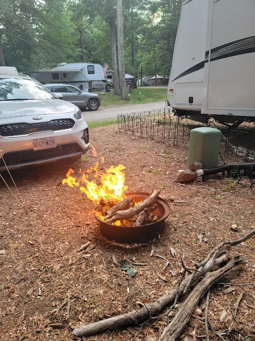 Black Bear Campground 9