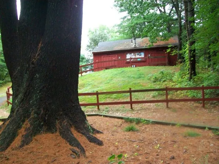 Rusnik Campground 9