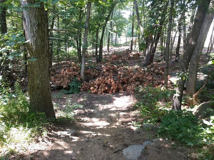 Twin Brooks Campground 0