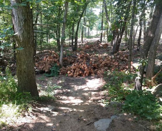 Twin Brooks Campground