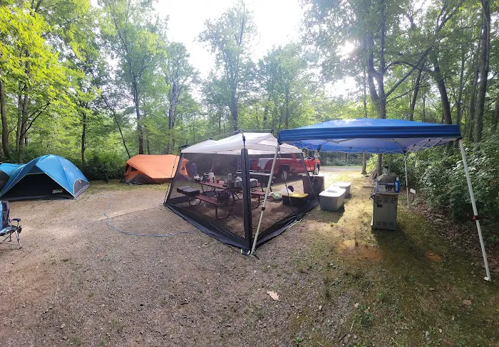 Pines Camping Area 4