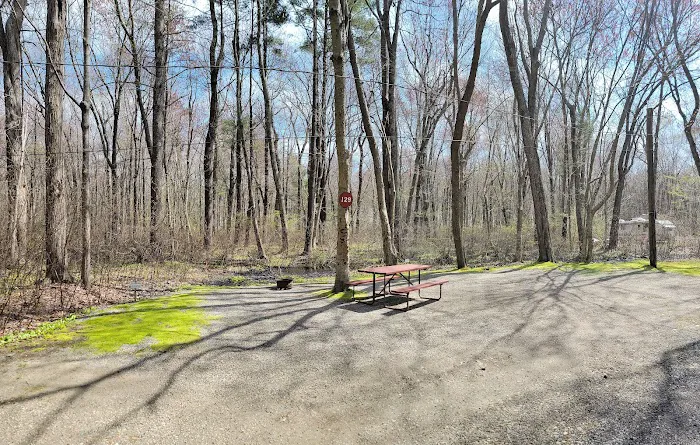 Pines Camping Area 2