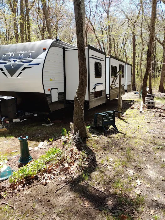 Pines Camping Area 8