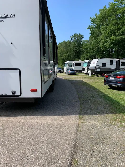 Beach Rose RV Park 8