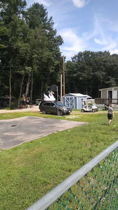 Wadleigh Falls Campground 5
