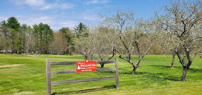 Wellington Camping Park 2