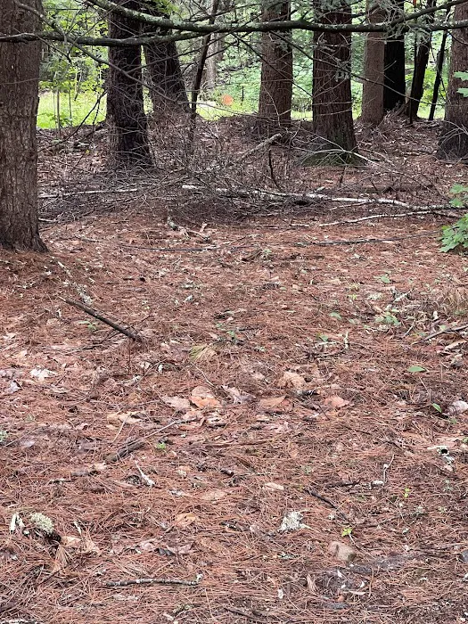 Ferndale Acres Campground 4