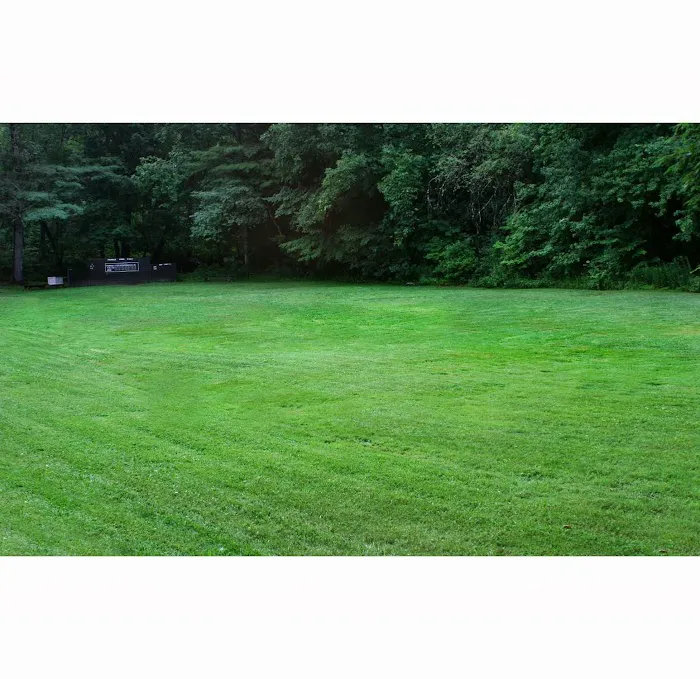 Ferndale Acres Campground 9