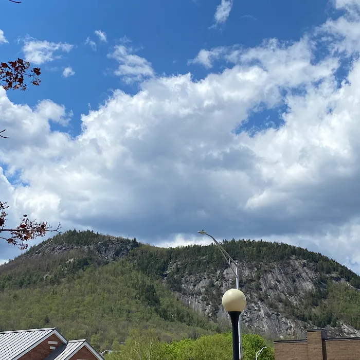 Cedar Pond Campground 7