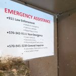 Carpenter Town Camping