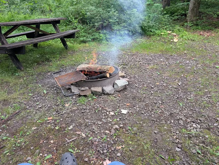 Carpenter Town Camping 2