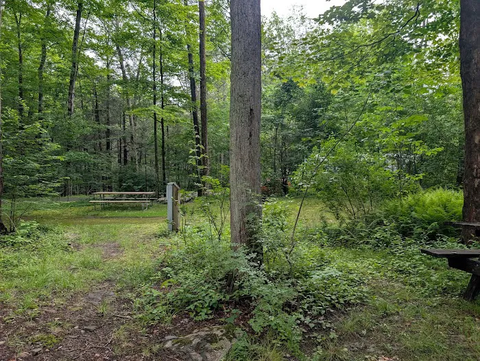 Carpenter Town Camping 1