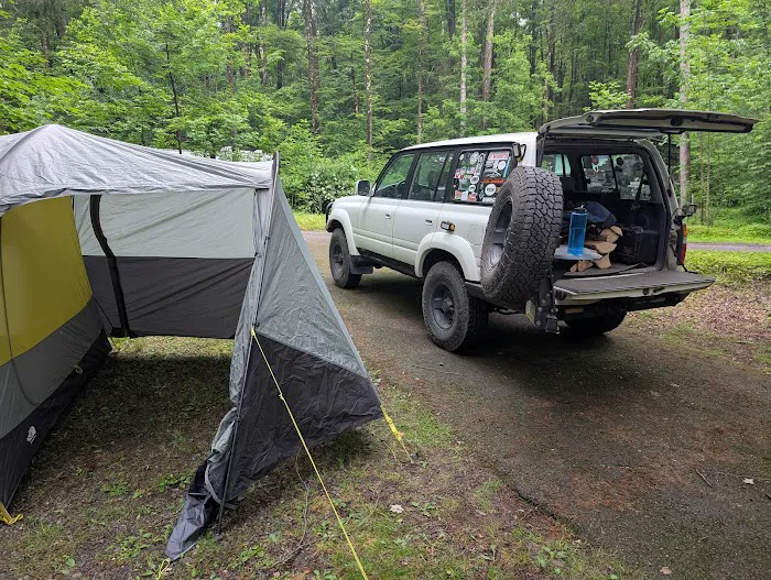 Carpenter Town Camping 5