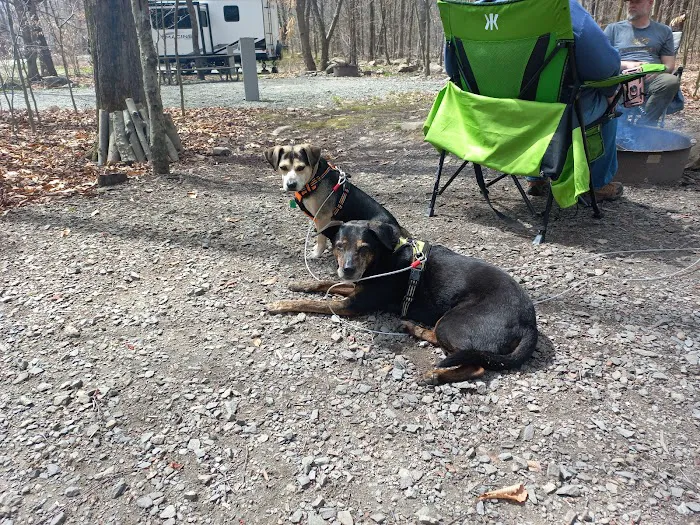 Tobyhanna Campground 0