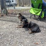 Tobyhanna Campground