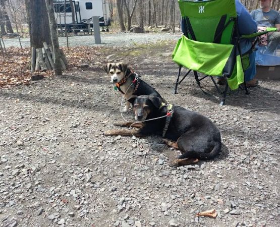 Tobyhanna Campground
