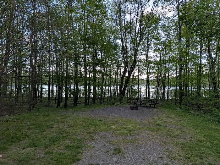 Tobyhanna Campground 6