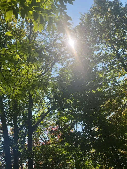 Tobyhanna Campground 9