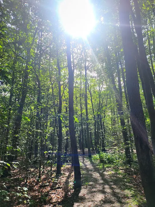 Tobyhanna Campground 5