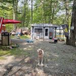 The Beulke Camphouse