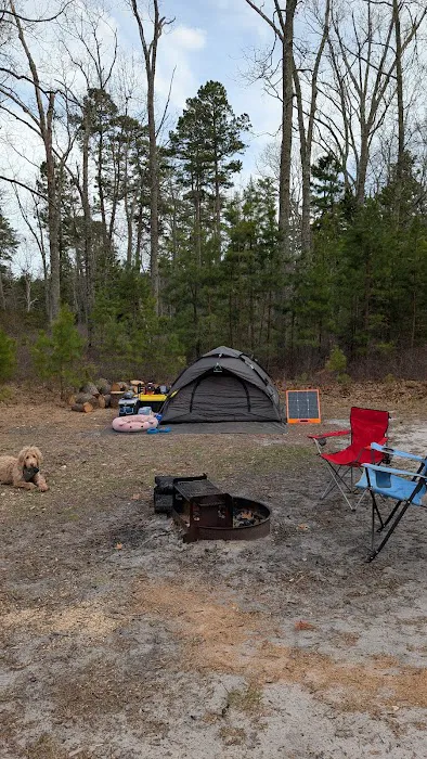 Hawkins Bridge Campground 8